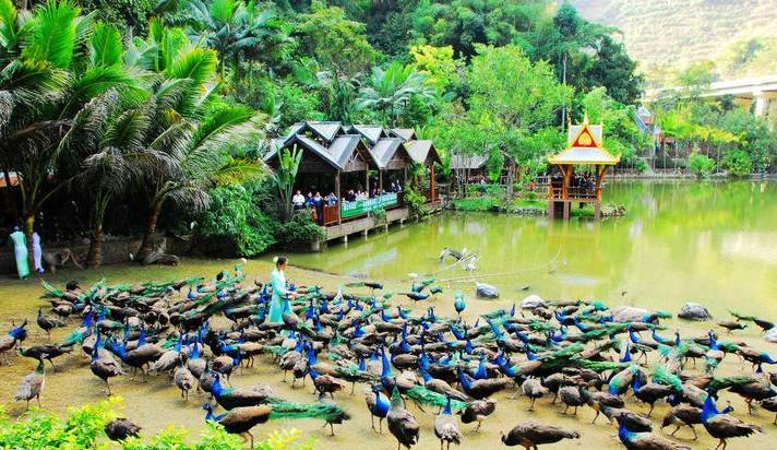 云南旅游全攻略自由行美食,别再问攻略