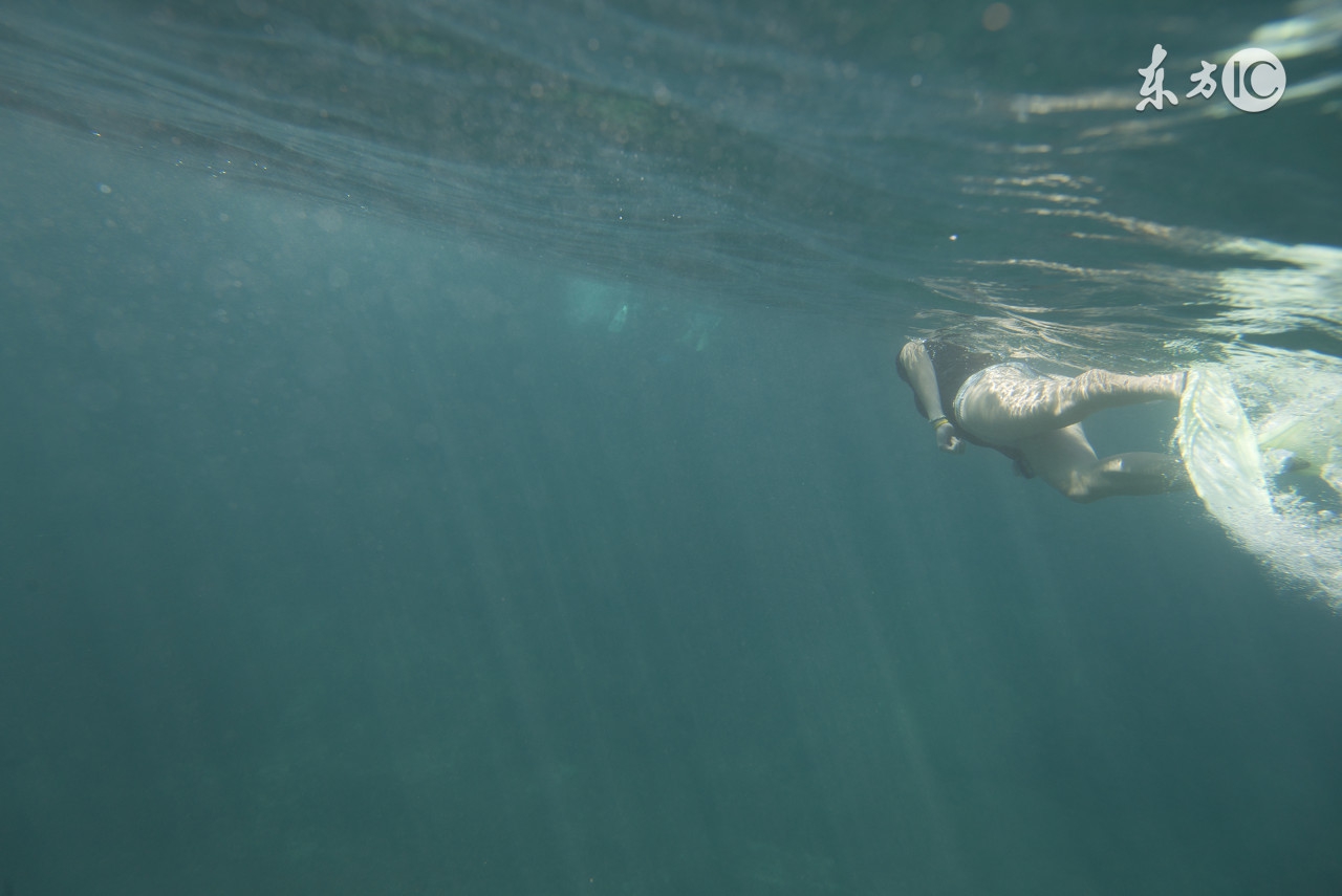 如果可以死去,可以死去