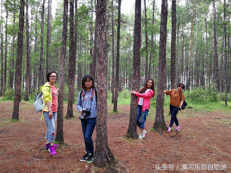 呼伦贝尔漠河旅游攻略夏季,呼伦贝尔漠河环线自由行