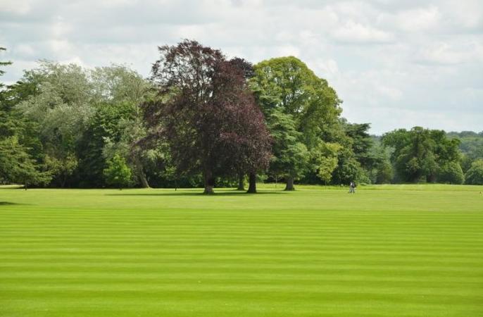 温布尔登网球锦标赛费德勒八强,温布尔登网球赛费德勒德约科维奇