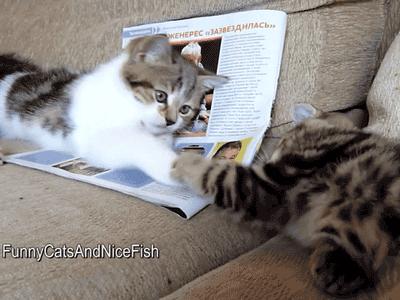 三人行必有我师其二,三人行必有我师2