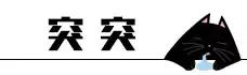 猫咪睡姿大作战,猫咪大字型睡姿图片