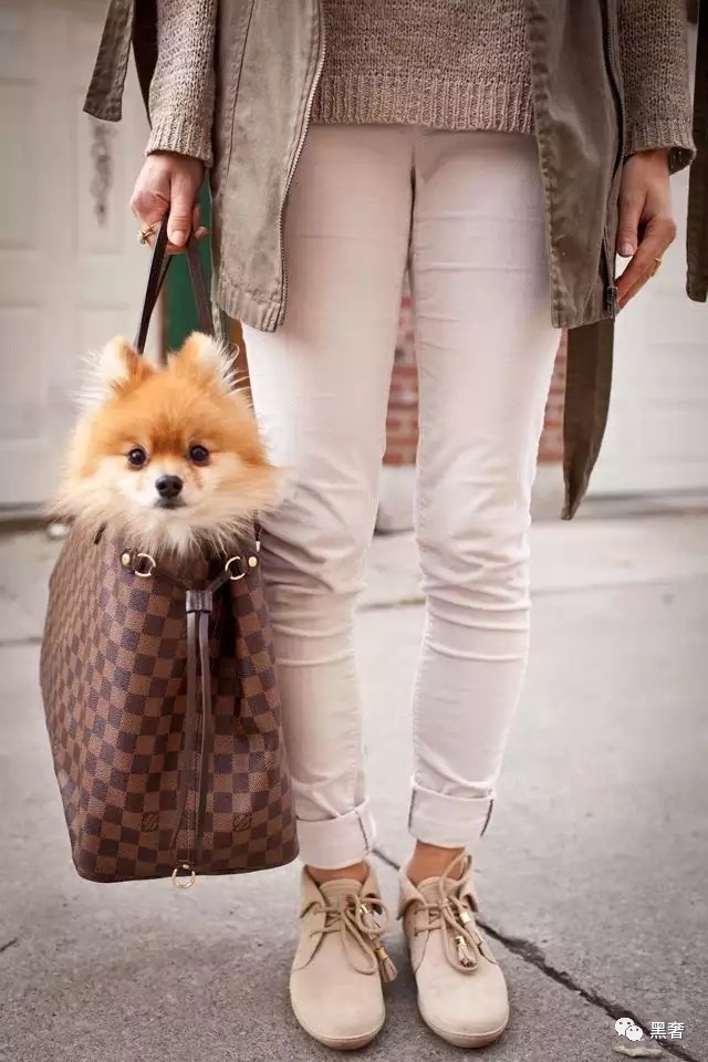 lv涨价了还值得买吗,lv真的要涨价吗