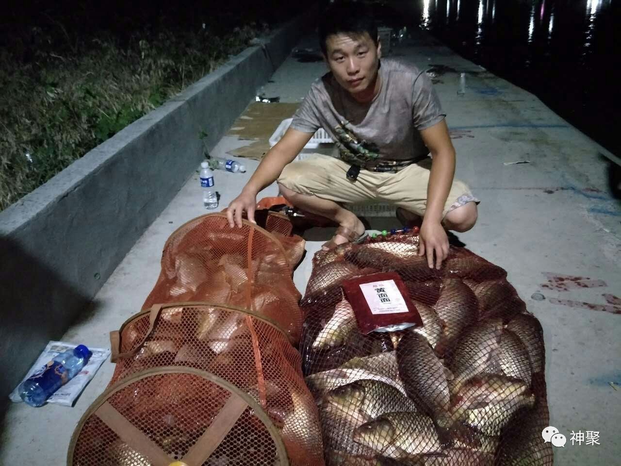 黑坑鲤鱼咬钩水下视频,鲤鱼上钩瞬间