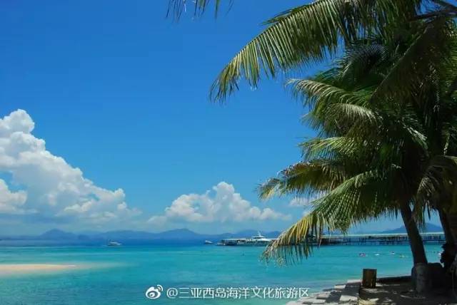 三亚潜水攻略大全,三亚怎么才能自由潜水