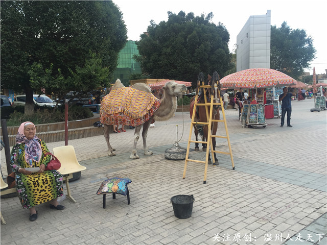 新疆南疆之旅攻略火车,为期八天的南疆之旅完美结束