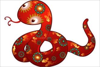 老人说,这才是属蛇人命中注定的爱人,选对了,能让你富得流油