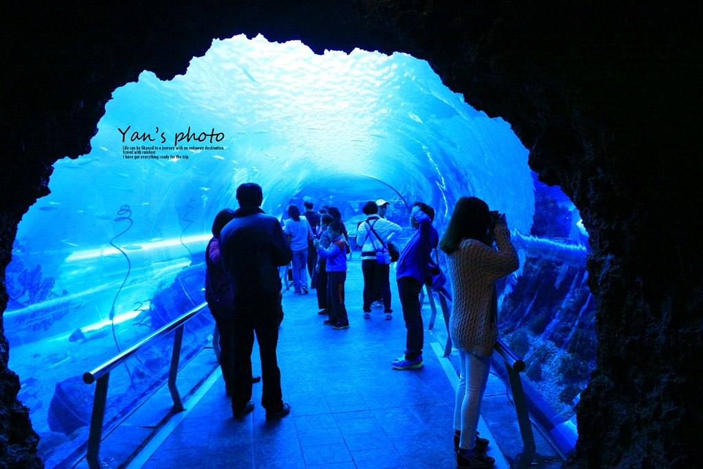 台湾亲子游最佳路线推荐,台湾亲子游十大好去处