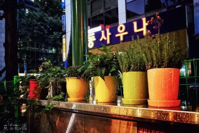 首尔购物攻略美食,首尔有什么好吃的便宜的