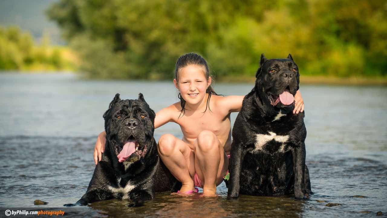 千年古老犬种卡斯罗,寻根之旅巴里坤