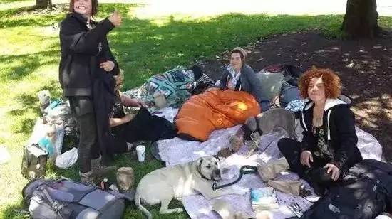 美国流浪汉真实故事,美国旧金山流浪汉去哪里了