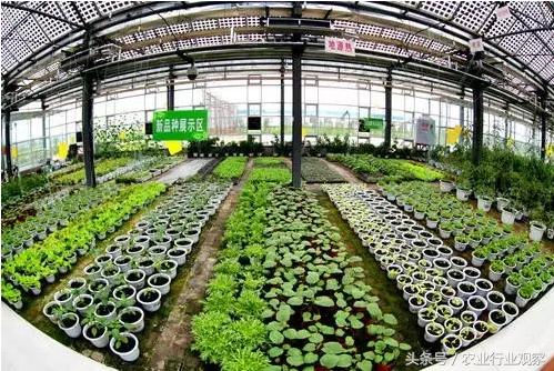 生态循环农业如何控制利润,现代农业六种盈利模式