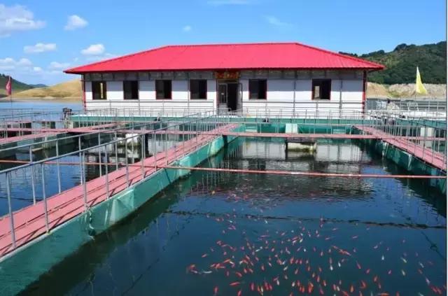 不输九寨沟的山东景点,不输九寨沟的湖