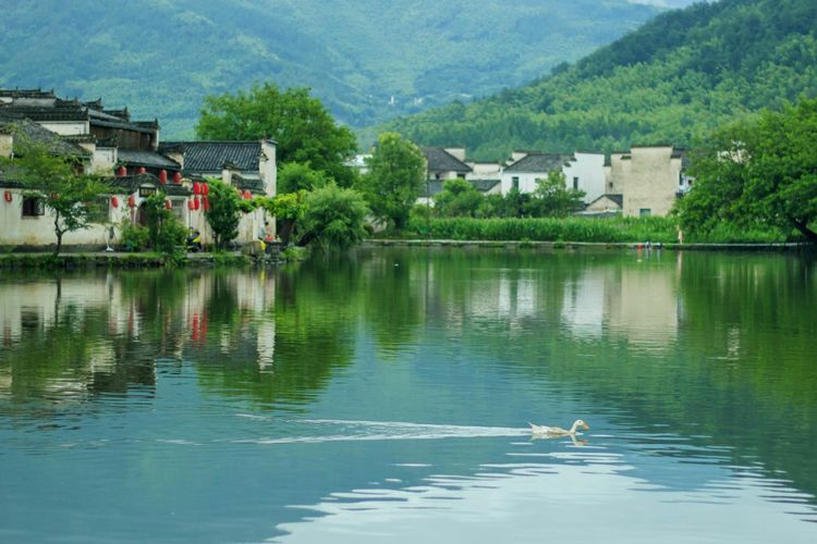 发现一个世外桃源的地方真美,有一处叫世外桃源的地方