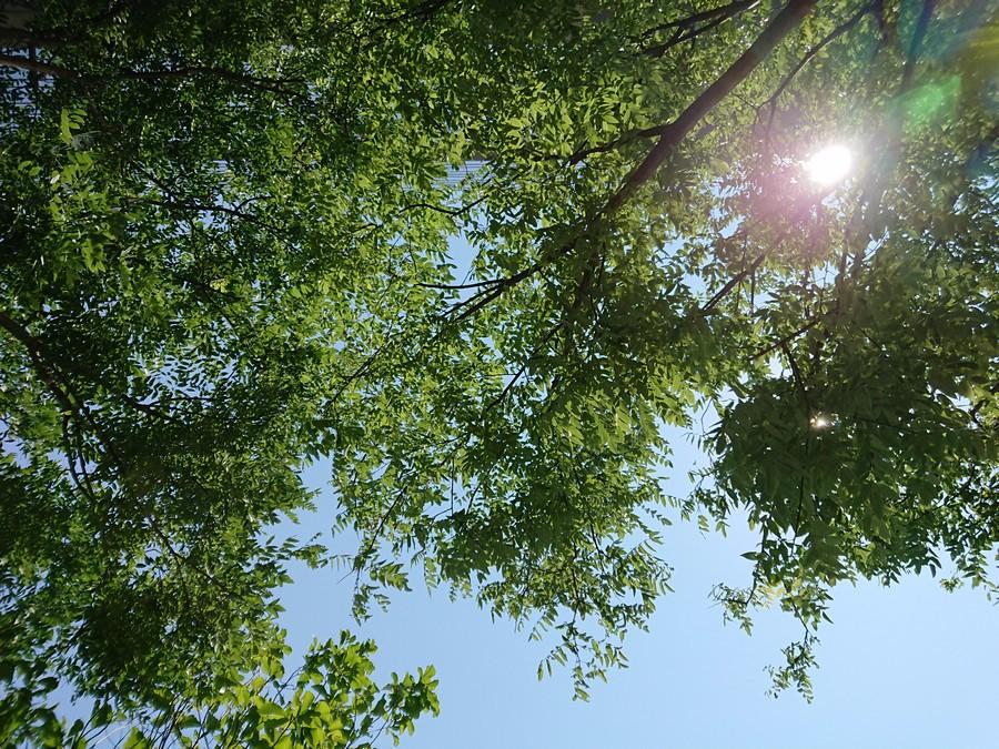 为啥都说索尼电视好,为什么都说索尼手机好