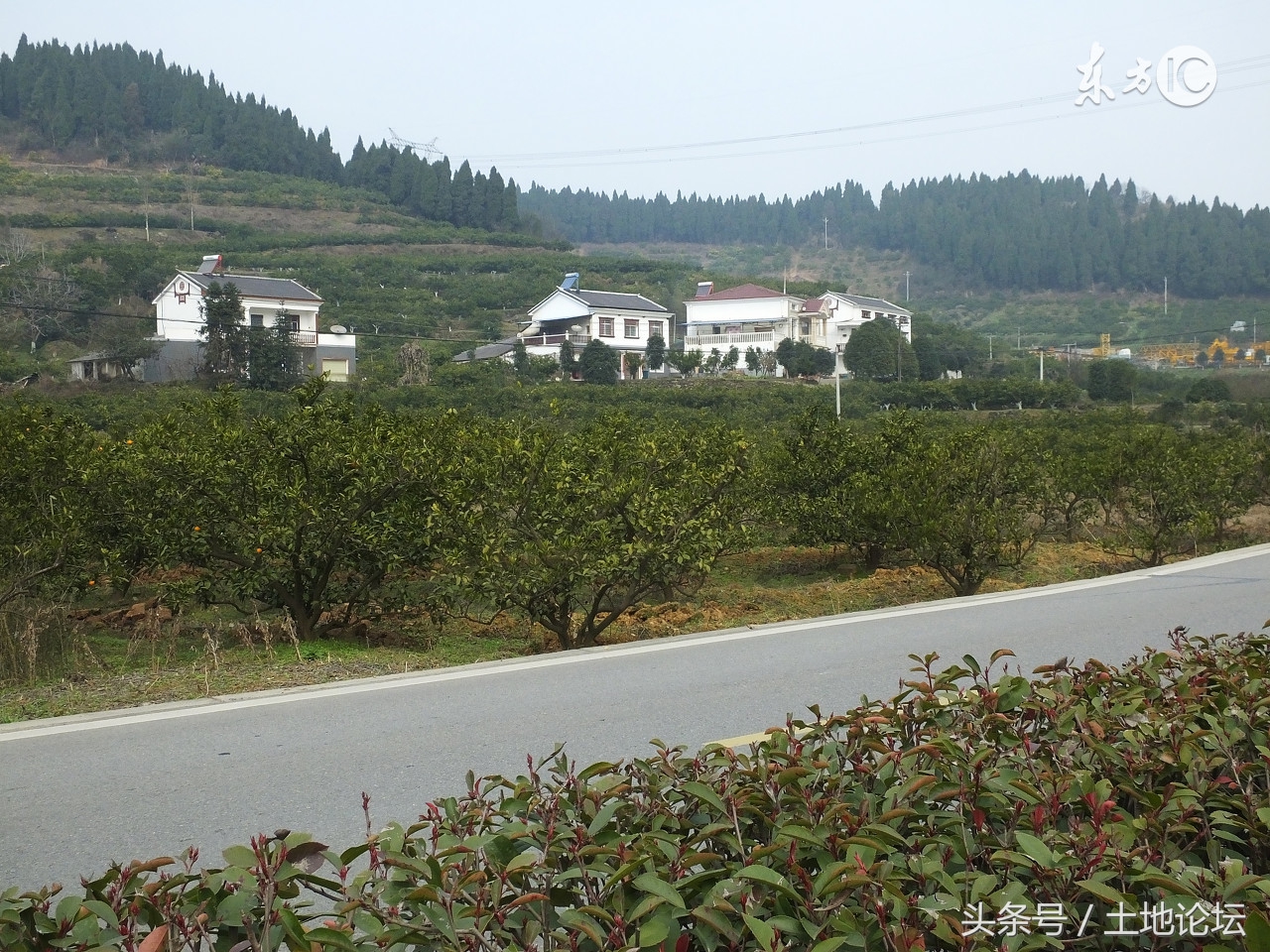 农村建房补贴没到账到哪里查询,农村建房补贴该找谁