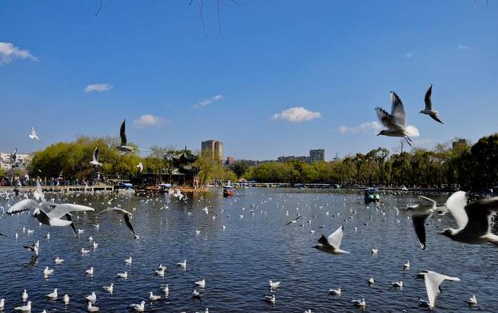 云南旅游全攻略自由行美食,别再问攻略