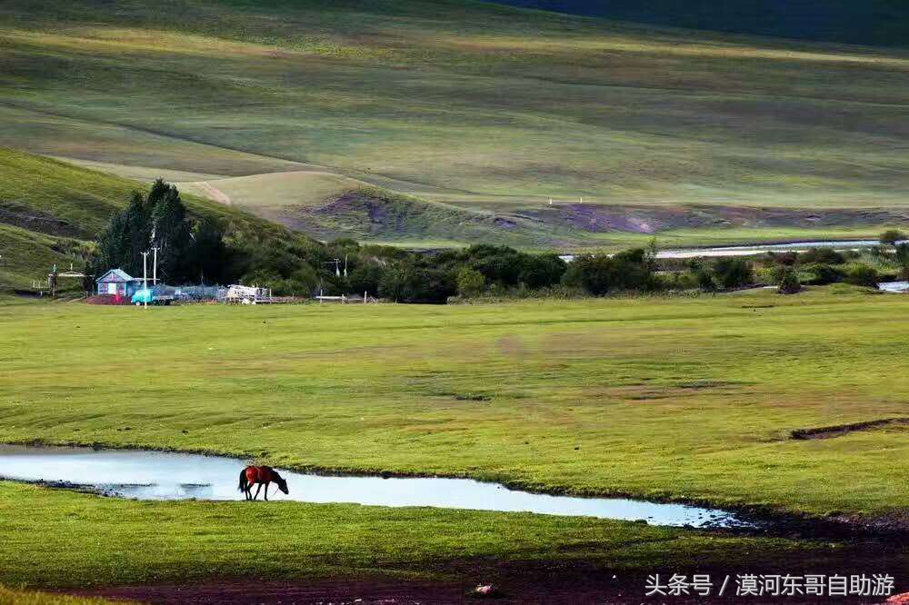 呼伦贝尔漠河旅游攻略夏季,漠河呼伦贝尔阿尔山10日游攻略