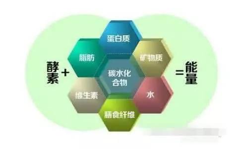 龙文智造｜政融生物：首开大陆酵素生产先河