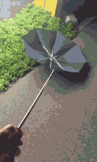 ‘’先救妈！天热，让我在水里待会！”‘’先救女朋友，让妈在水里待会！”