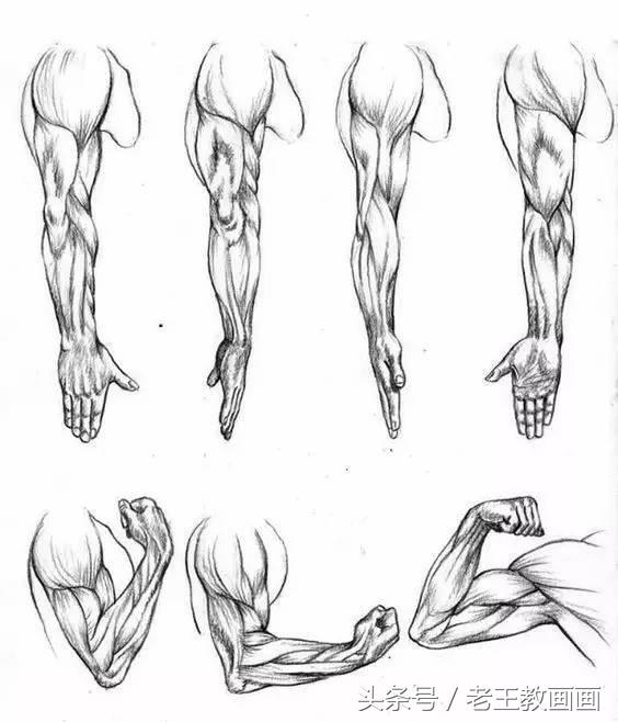 教100个零基础画画小白,零基础自学绘画入门书