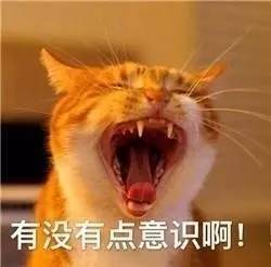 我这一套彩妆花了不到500块!