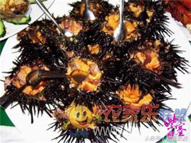 大钦岛渔家乐旅游攻略,紫塞北京农家乐