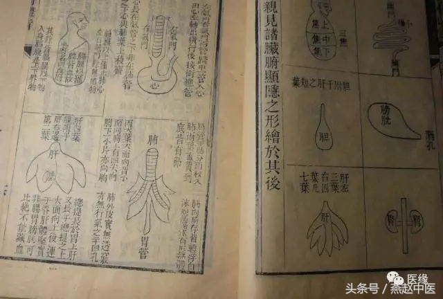 曹东义的简介资料,曹东义讲中医视频