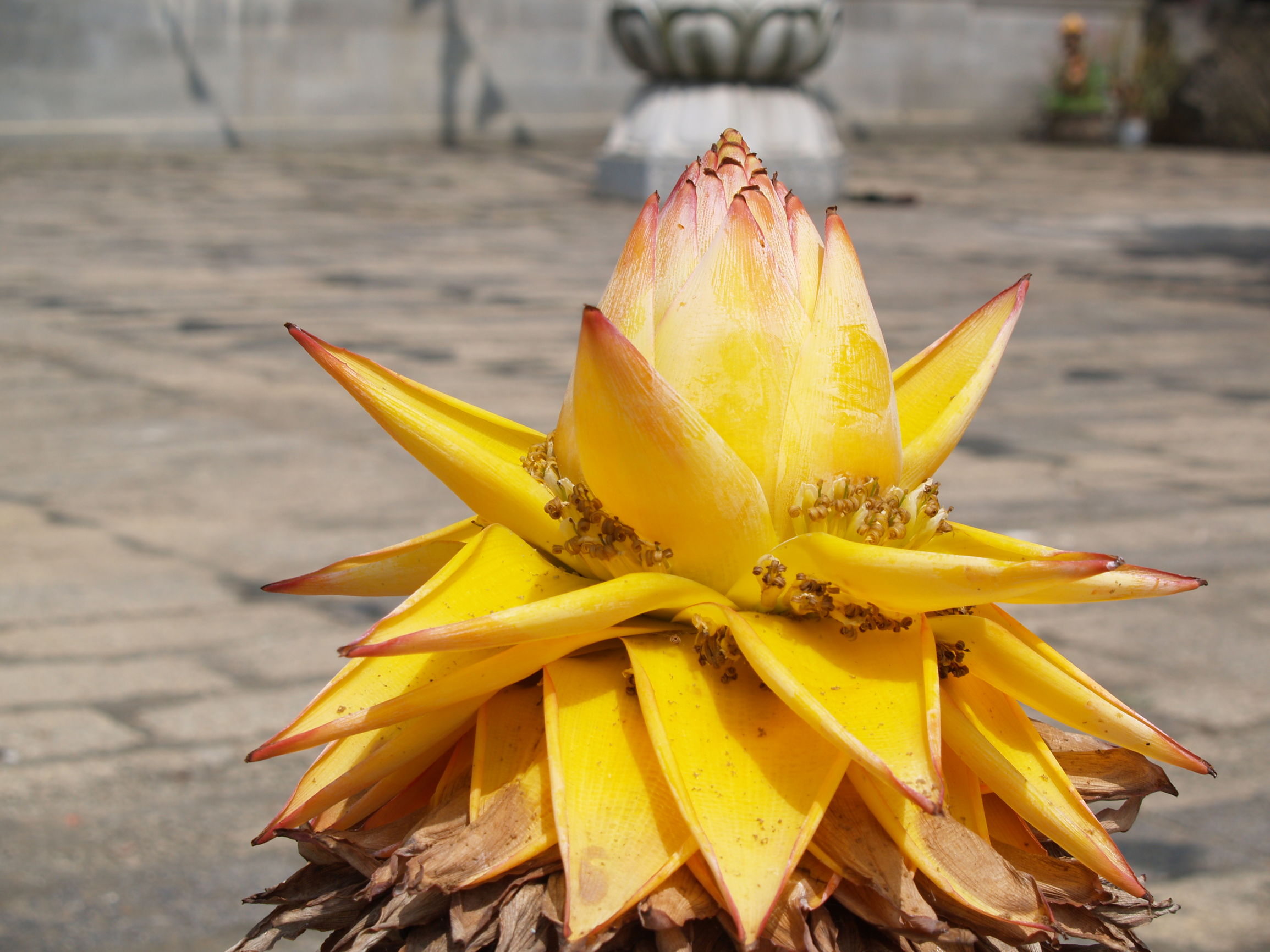 道德经妙解导读与分享,道德经解读大全经典版