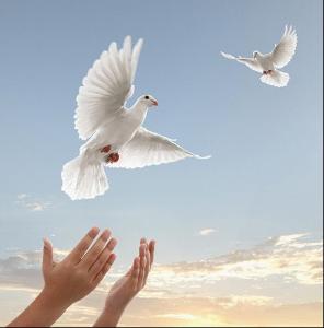 销售客户还拿不定主意时如何成交,项目销售如何和客户相处