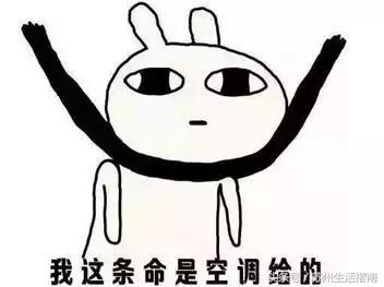 40度的高温天气不出门在家瞎折腾,40度的高温天气没事别出门