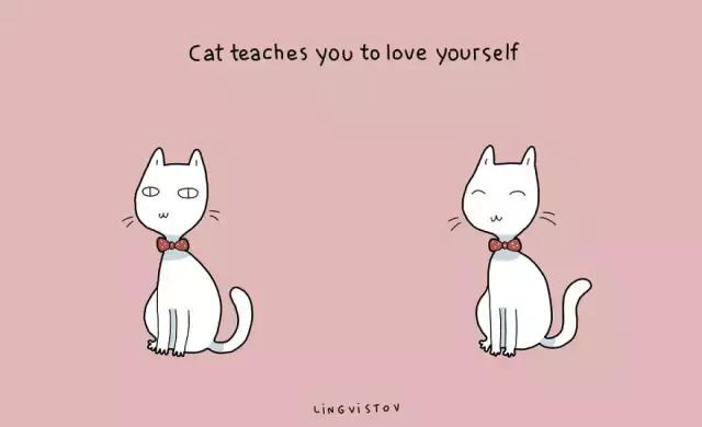 养猫的100个好处视频,养猫的人才懂的十个好处