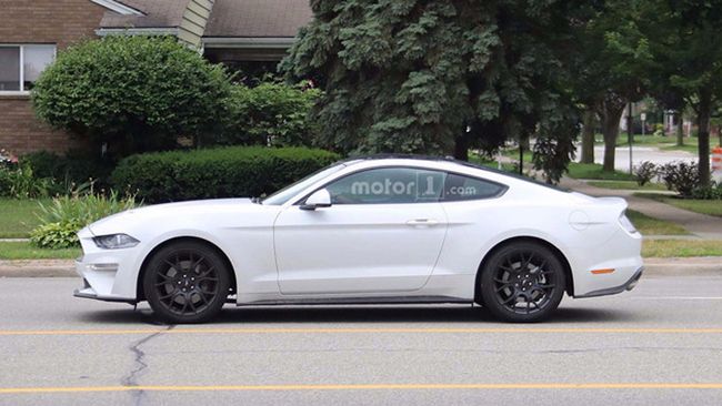 本周新车一览,一周海外新车汇总