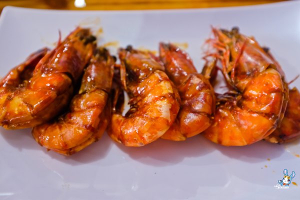 探寻野生动物,野生长鼻猴