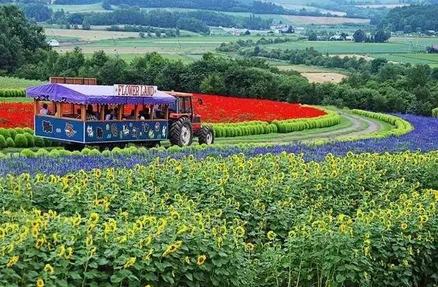 7月份日本旅游购物,日本夏天旅游必买十件事