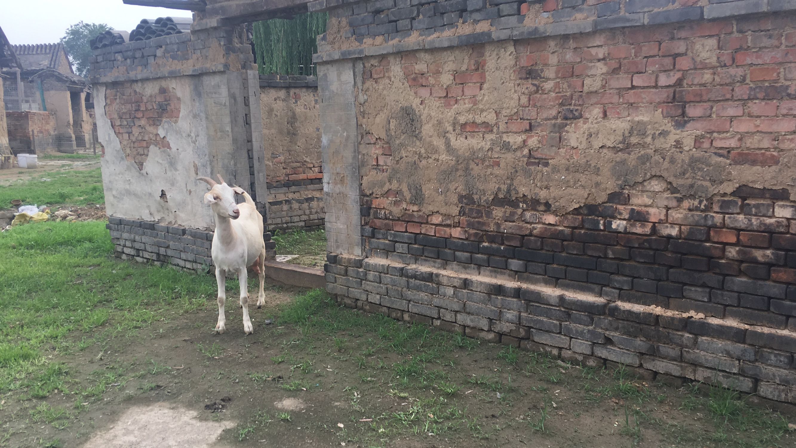 大兴北普陀,大兴自驾游冷门