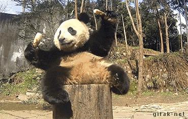 我把整个超市扔进了冷冻室，没想到还挺好吃