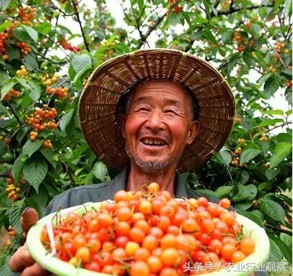 刘强东说农村电商,马云刘强东时期的企业家