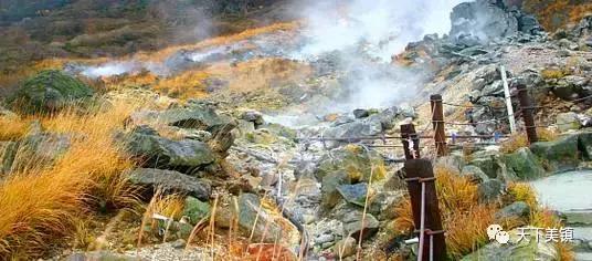 身边有很多人去日本旅游,去日本旅行的好地方