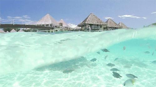 马代和帕劳哪个好玩,帕劳旅游攻略马代