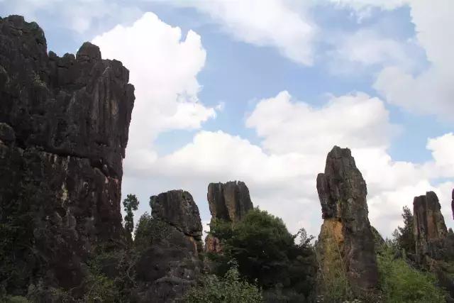 云南花海之行,云南花海基地旅游攻略