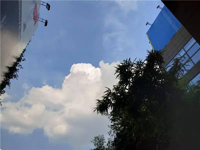 vivox9s测评方法,vivox9s测评视频