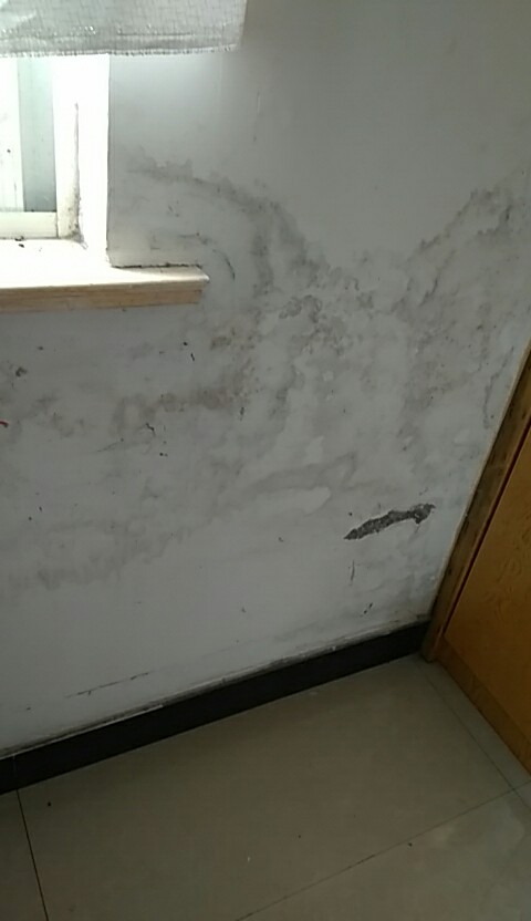 墙体发霉漏水起皮怎么办,墙体发霉返潮的原因