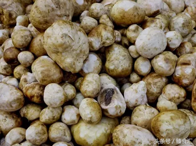 野生菌的食用与安全,野生菌安全吃法