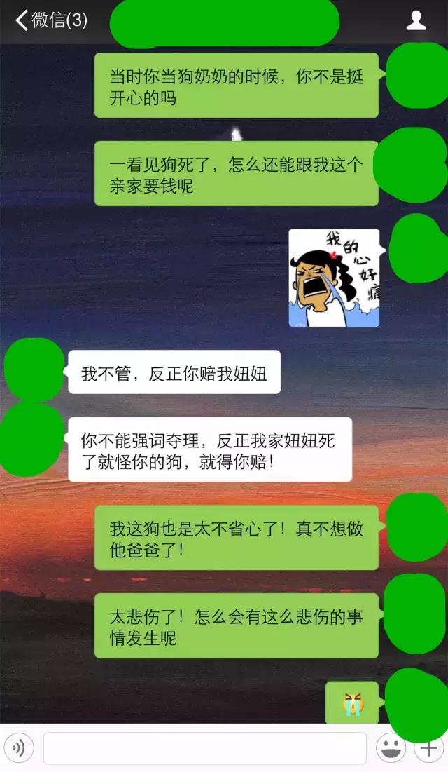 还狗清白!隔壁家母狗肚子里的不是我家的!