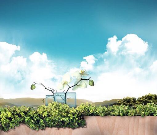 奇甲决策学视频教程,知人者智自知者明论证方法