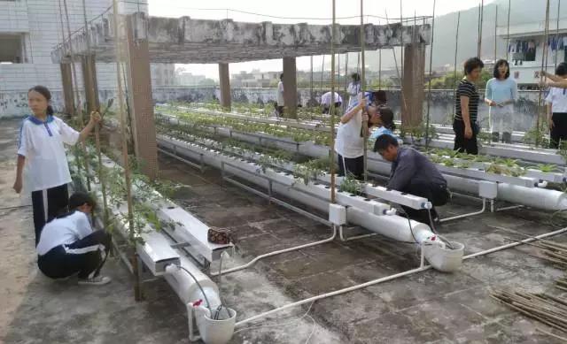 肇庆无动力亲子乐园,肇庆夏季亲子旅游推荐地方