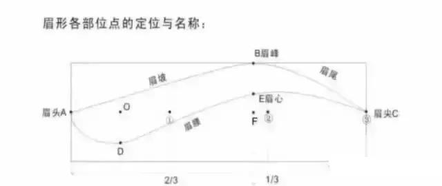 半永久眉毛眉形基础简单画法,眉毛设计眉形基础教程
