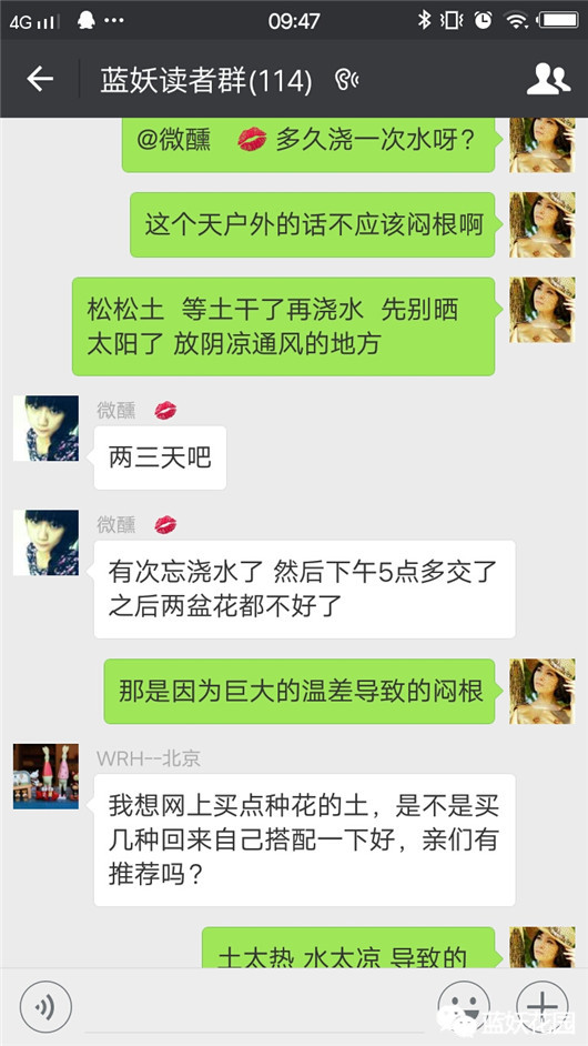 适合养花新手养的花,新手养花小技巧学会才能养好花