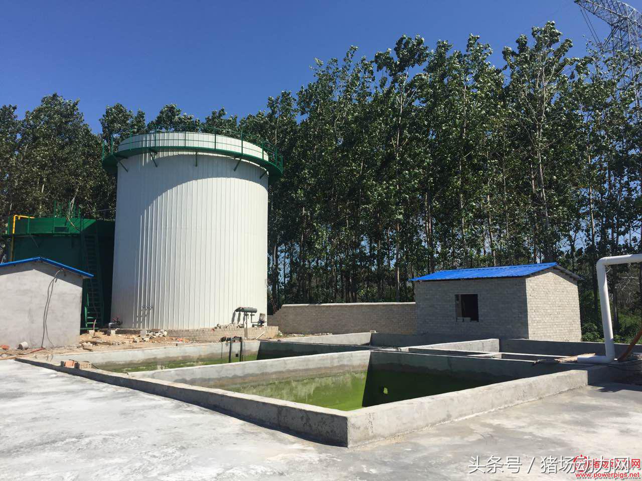 养猪环保不达标,关于南方北方农村养猪环保问题